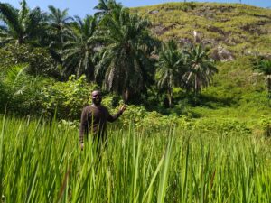 Programme « Génération Durable : Kijana na Madini